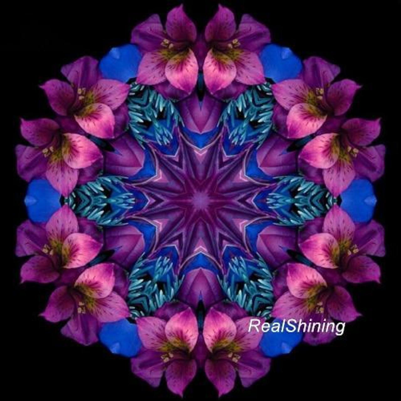 5D Diamond Painting Flower Petal Mandala Kit